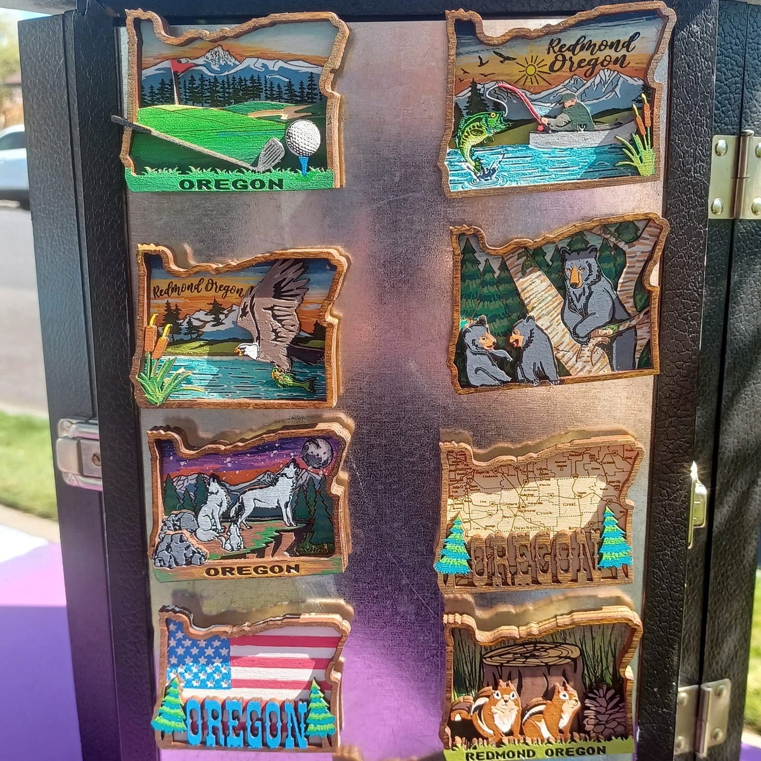 3D Oregon-Shaped Magnets